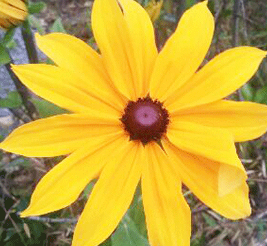 병원일기 이미지