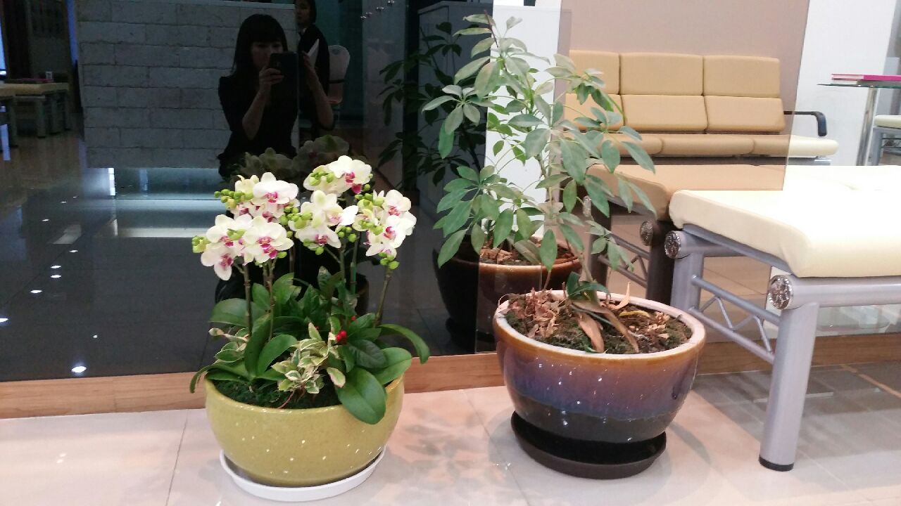 병원일기 이미지