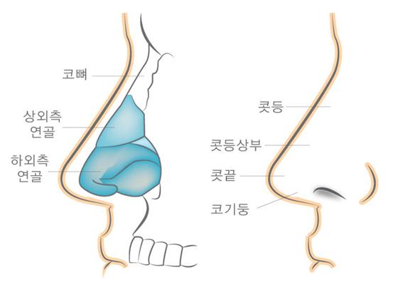 삼성드림이비인후과