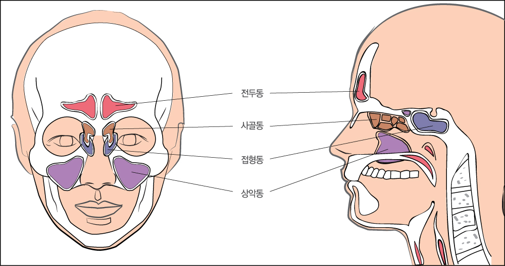 삼성드림이비인후과